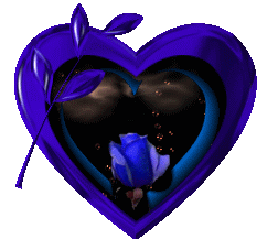 ����� ���� ���� ��� ����� ������� �����